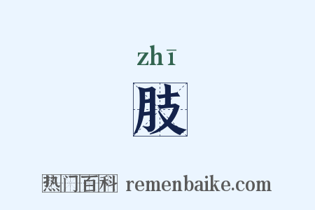 肢是什么意思的图片